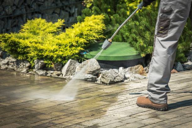 Best Animal Enclosure Cleaning  in Cape Coral, FL