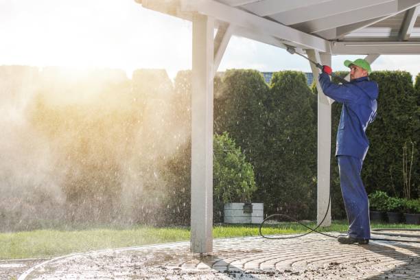 Best Fence Cleaning  in Cape Coral, FL